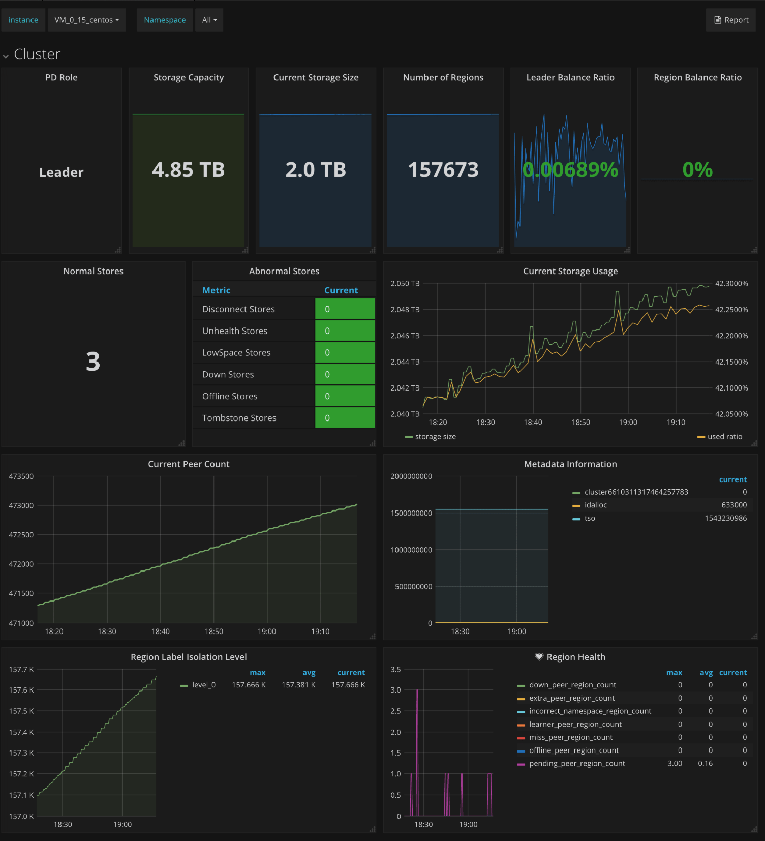 PD Dashboard - Cluster metrics