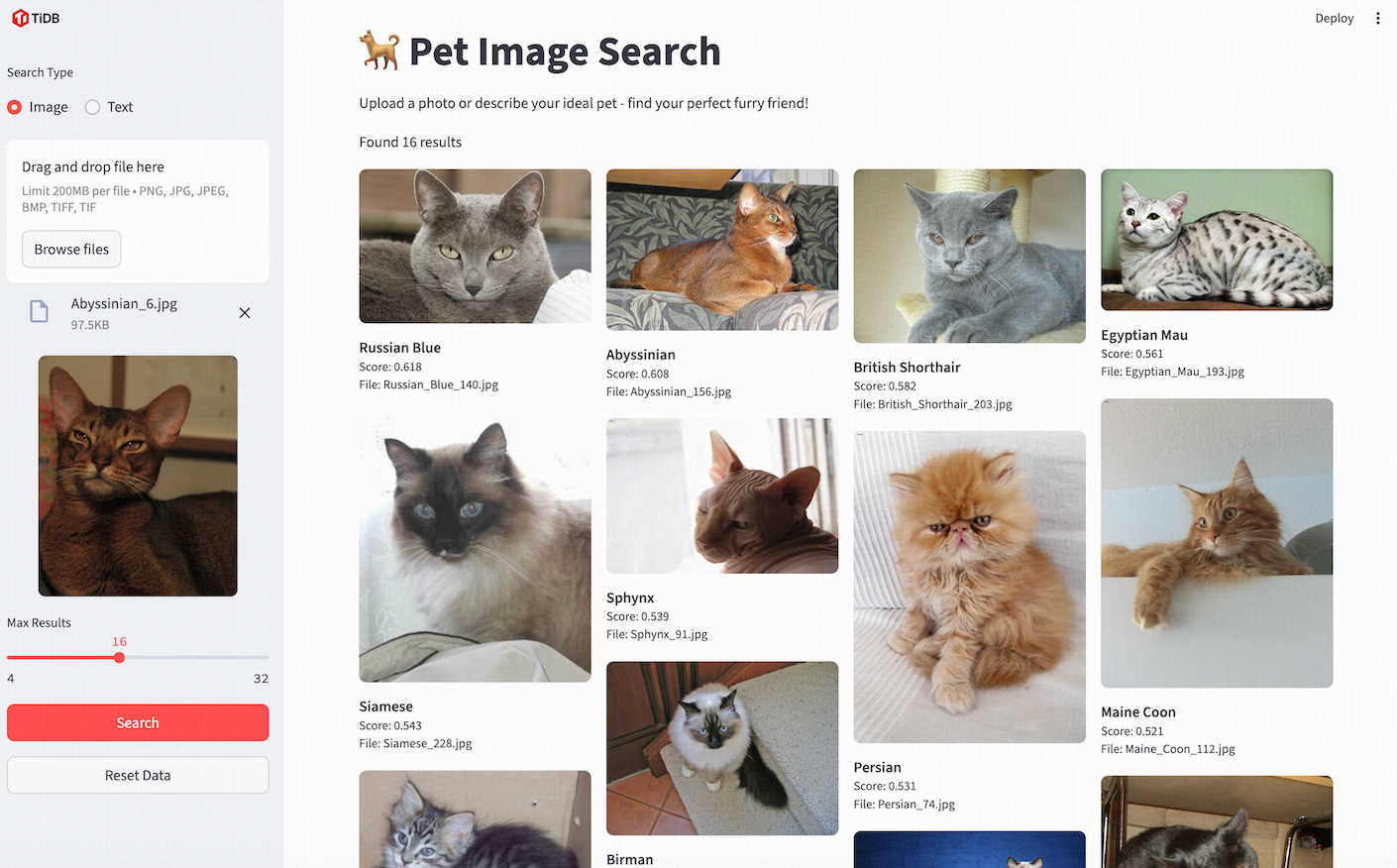 PyTiDB Image Search Demo